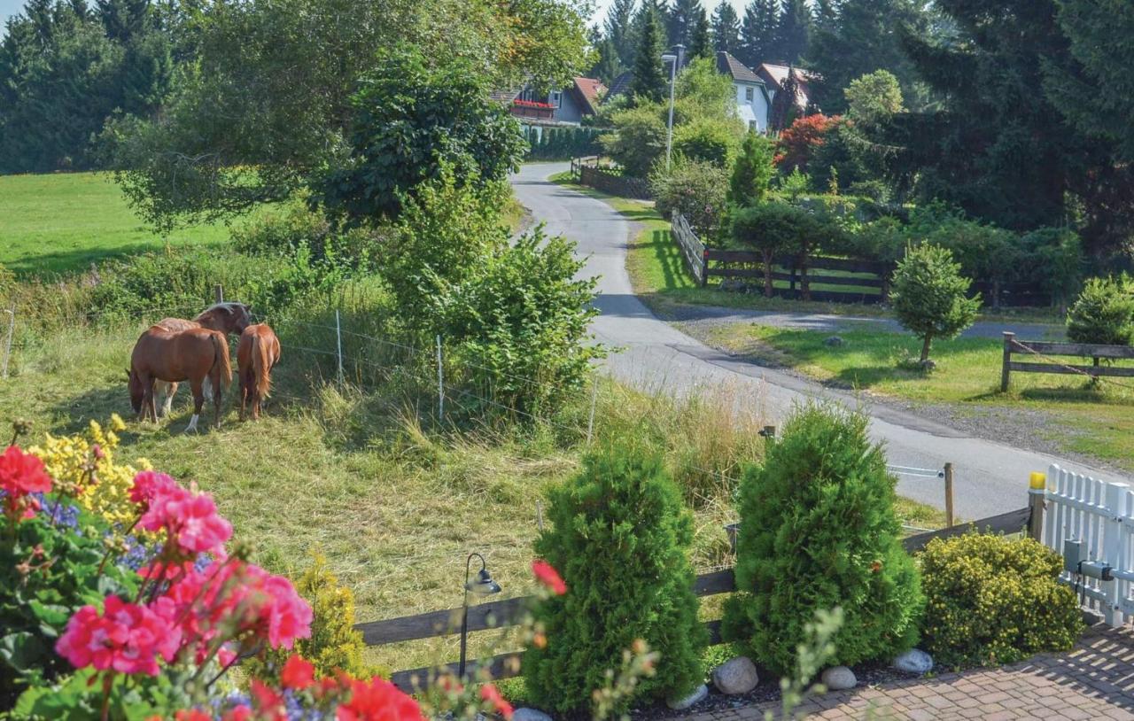 Galerie Haus Villa Braunlage Exterior photo